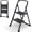 Black., variant on Favory 2-Step Ladder with Wide Anti-Slip Platform & Thick Rubber Feet | Heavy Duty Foldable & Portable | 330 lbs Capacity, Steel Frame, Rubber Handgrip, Folding Step Stool-Black