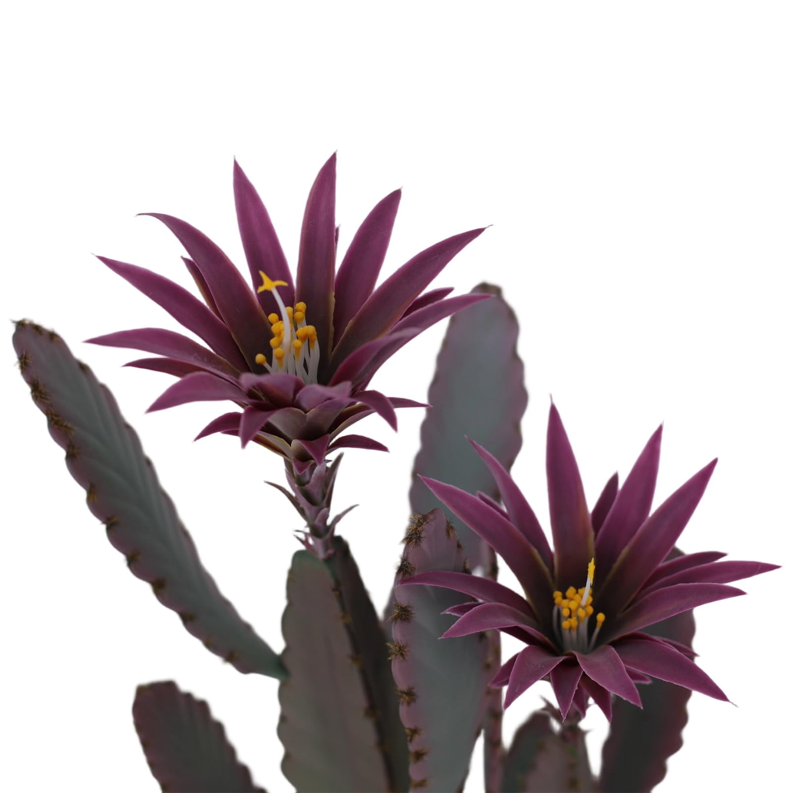 Accreate Artificial Cactus Plant, Faux Desert Cacti Potted Plant with Planter, Realistic Texture Tall Fake Plant for Home Office Living Room Bedroom Foyer Porch Decor