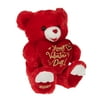 Way To Celebrate Valentine's Day Sweetheart Teddy, Red