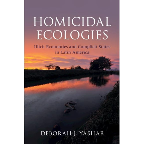 Cambridge Studies in Comparative Politic Homicidal Ecologies: Illicit Economies and Complicit States in Latin America, (Hardcover)