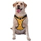 thumbnail image 1 of Fotbe Hot Chilli Arnés para Perro con Estampado –Chaleco Ajustable Acolchado con Asa de Control para Perros Grandes-Medium, 1 of 6