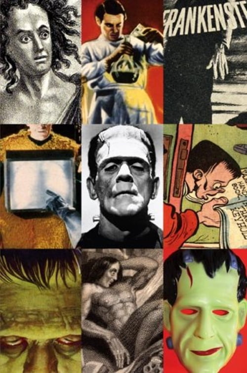 Pre-Owned Frankenstein: A Cultural History (Hardcover) 0393061442 9780393061444