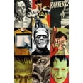 thumbnail image 1 of Pre-Owned Frankenstein: A Cultural History (Hardcover) 0393061442 9780393061444, 1 of 1