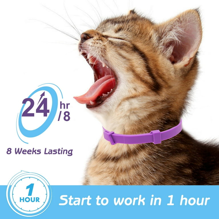 PUPTECK 60 Days Cat Calming Collar Adjustable Reduce Anxiety Safe Calm Protective Pet Collar for Cat Kitten