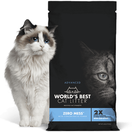 World's Best Cat Litter Zero Mess Multi 24 LB (What's The Best Cat Litter)