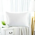 2pc Pure Color Imitation Silk Pillowcase Imitation Silk Silk Color