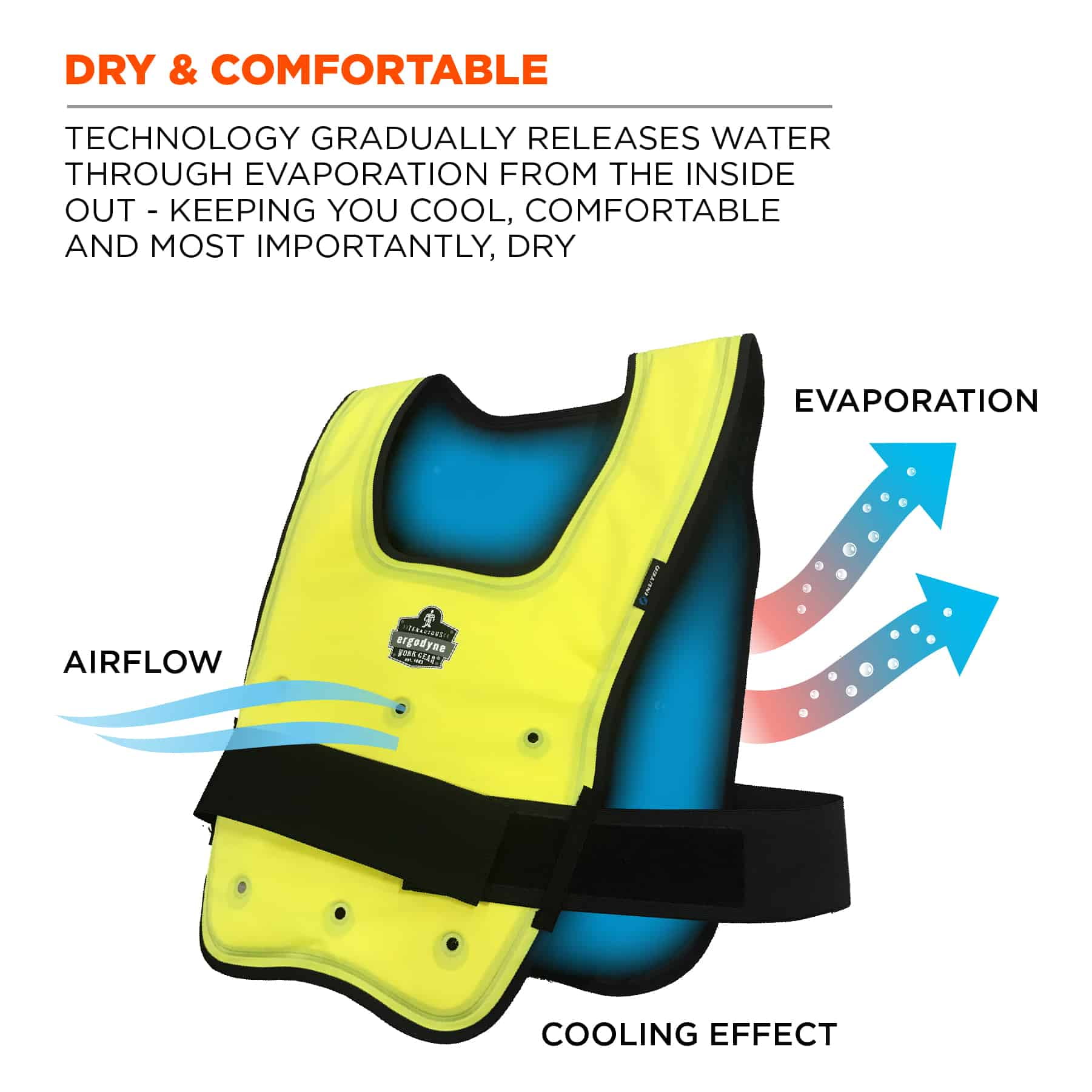 Ergodyne Chill-ItsÂ® 6687 Economy Dry Evaporative Cooling Vest, Lime, S/M