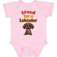 thumbnail image 3 of Inktastic Labrador Chocolate Lab Boys or Girls Baby Bodysuit, 3 of 5