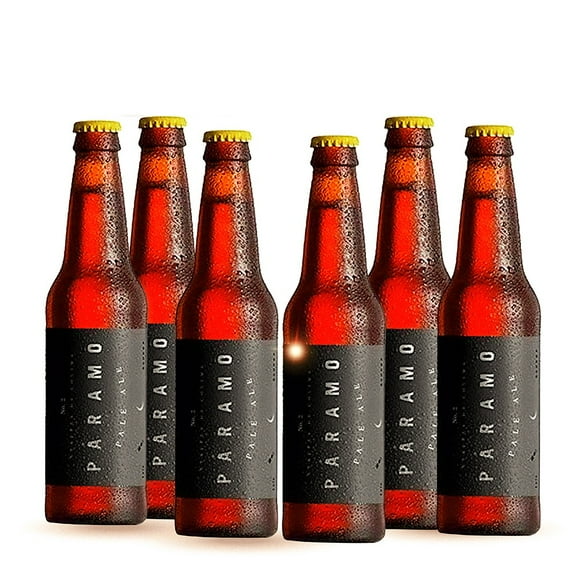 Six Pack Cerveza Artesanal Colimita Paramo 355ml C/u Colimita Pale Ale