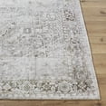 thumbnail image 2 of BoutiqueRugs Clodia Traditional, Transitional Area Rug - Ivory, Taupe, Charcoal - 2' x 3', 2 of 6