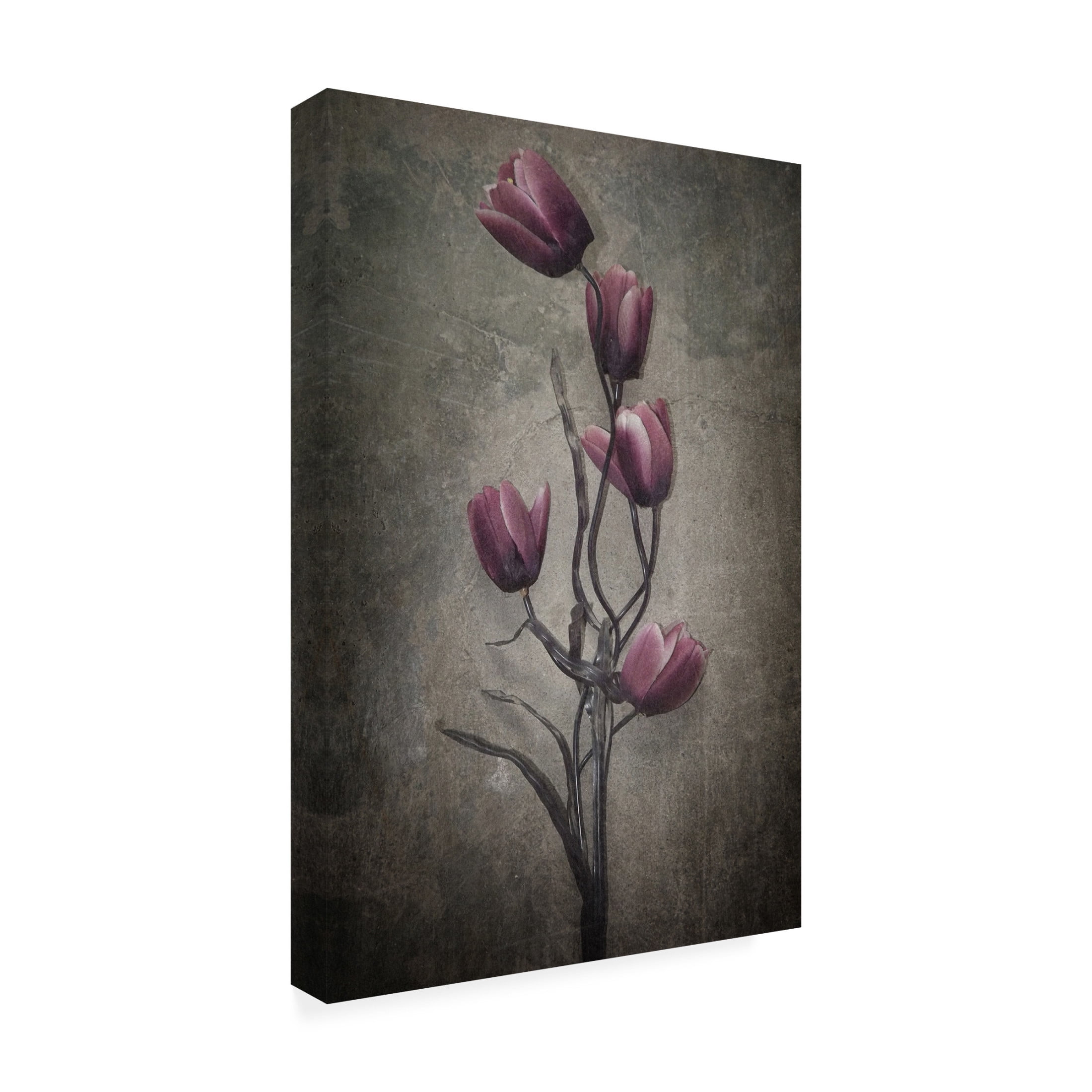 Canvas Wall Art - Kahar Lagaa 'You HavenT Seen The Last Of Me' Wall Art for Living Room, Bedroom, or Office D?cor by Trademark Fine Art - 16 x 24 Inches