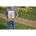 thumbnail image 4 of DiseaseEx Lawn Fungicide, Controls and Prevents Disease Up to 4 Weeks, Treats Up to 5,000 sq. ft., 10 lbs. (2-Pack), 4 of 7