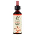 thumbnail image 1 of Bach - Bach Original Flower Remedy Dropper Mimulus Flower Essence - 20 ml., 1 of 6