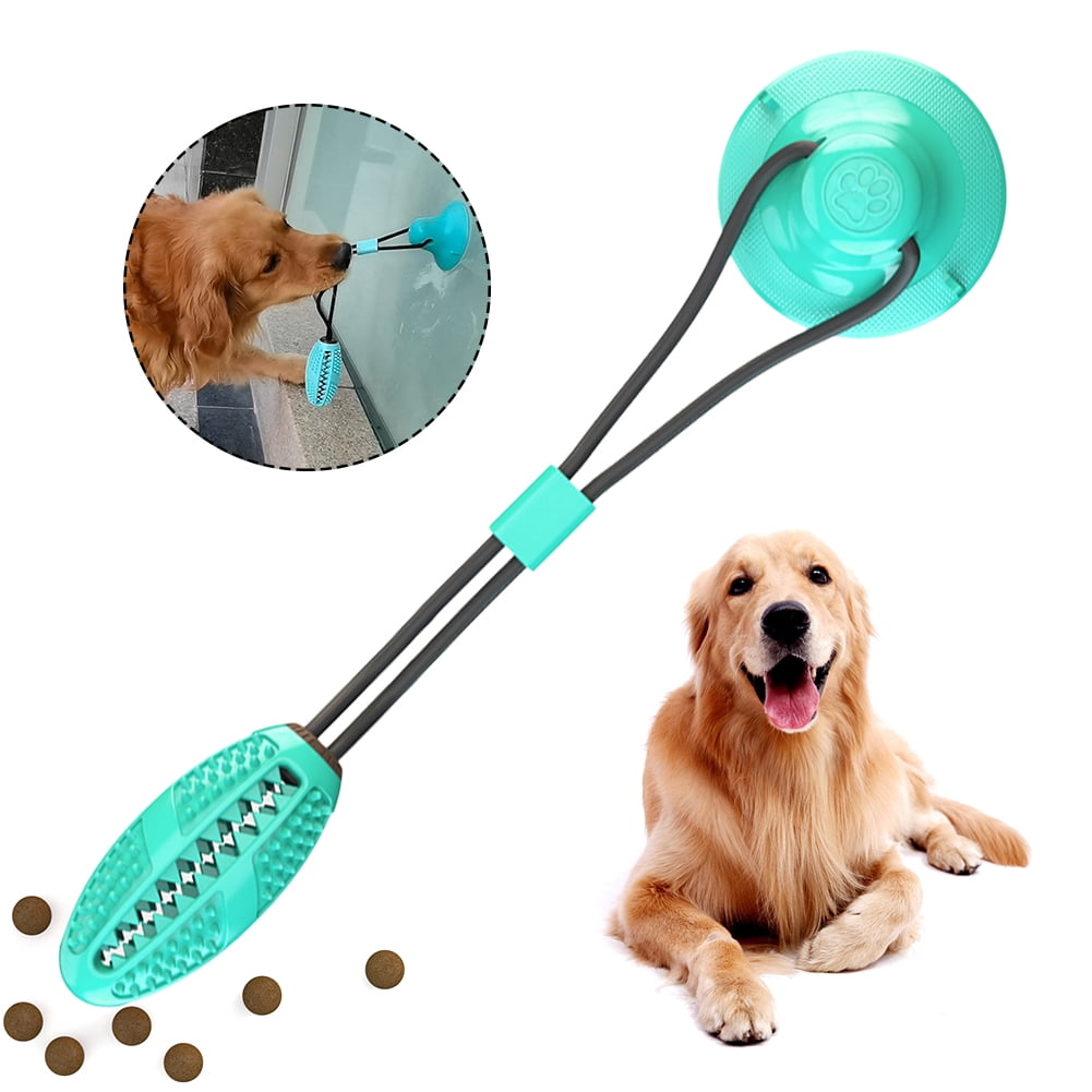 dog suction ball