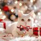 thumbnail image 1 of Christmas Cat Collar with Bell & Bow Adjustable Pet Safety Breakaway Kitten Collar Festive Holiday Party Gift for Cats Small Dogs, 1 of 6