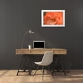 thumbnail image 3 of Crane, Rita 24x17 White Modern Wood Framed Museum Art Print Titled - Orange Ruffles II, 3 of 4