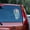 Holographic Opal, variant on American Deer - Vinyl decal
