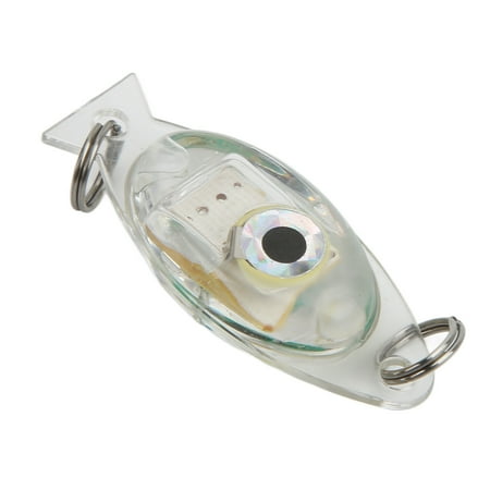 

Deep Drop Fishing Light LED Fishing Lights Pressure Resistant Sturdy For Night Fishing Red Light