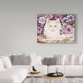 thumbnail image 3 of Trademark Fine Art 'Lilly White Cat' Canvas Art by Jan Benz, 3 of 3