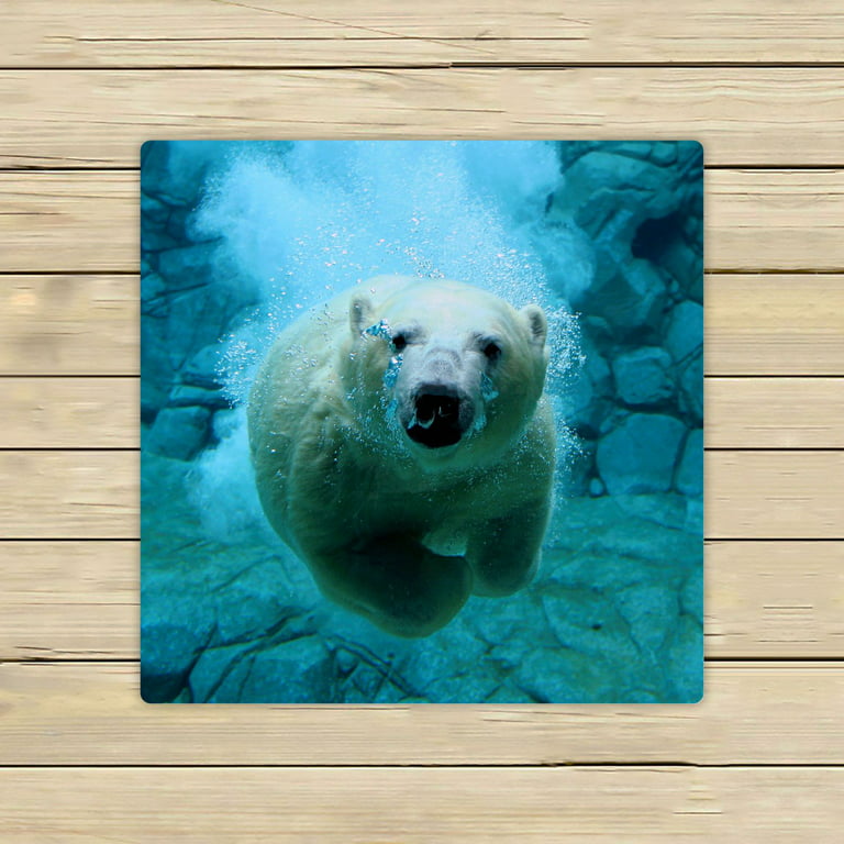 ZKGK Polar Bears Hand Towel Bath Towels Beach Towel For Home Outdoor Travel  Use Size 13x13 Inches