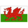 thumbnail image 1 of National Welsh Dragon Flag, 1 of 1