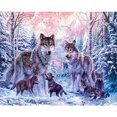 thumbnail image 1 of Taladro de diamante 5D FLhrweasw pintura DIY Kits de lobo nevado decoración de diamantes, 1 of 8