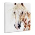 thumbnail image 2 of Stupell Industries Farmhouse Majestic Mane Spotted Horse Canvas Art, 17 x 17, by Svetlana Aleynikova, 2 of 8