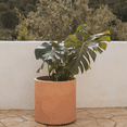 thumbnail image 1 of Maceta Hortensia 40, 1 of 2