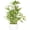Green/ White, variant on 18 inch Tall White Potted Artificial - Luxury Artificial Tree in White Pot for , Office, Kitchen, Counter Top, Indoor , Tree, Lucky Tree.