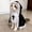 QR373-L, variant on Disfraz de monja para mascotas de Halloween, vestido oscuro con capucha incorporada para gatos y perros pequeños.