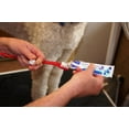 thumbnail image 3 of CET Virbac Enzymatic Dog  Cat Toothpaste Malt 70G Control Plaque  Tartar, 3 of 3