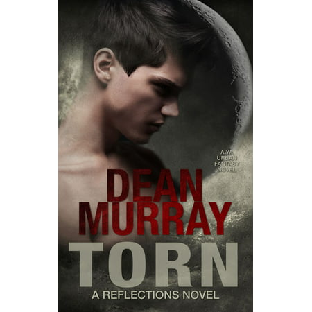Torn: A YA Urban Fantasy Novel (Volume 2 of the Reflections Books) - (Best Ya Fantasy Novels)