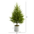thumbnail image 2 of Nearly Natural 49in. Norfolk Island Pine  Look Artificial Tree, 2 of 5