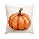 thumbnail image 3 of Mom's Best Fundas de almohada de Acción de Gracias de 17,7 x 17,7 pulgadas, con diseño de calabaza otoñal y tela suave con cremallera oculta para decoración del hogar., 3 of 6