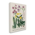 thumbnail image 4 of Stupell Industries Various Wildflowers Study Botanical & Floral Painting Gallery Wrapped Canvas Art Print Wall Art, 16 x 20, 4 of 8