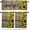 Gratefulyku8579, variant on 3 Piece Kitchen Curtains Tiers and Valances Set, Farm Retro Newspaper Sunflower Dragonfly Bee Rod Pocket Short Window Treatment Tiers Curtains Panel and Valance for Cafe Bathroom