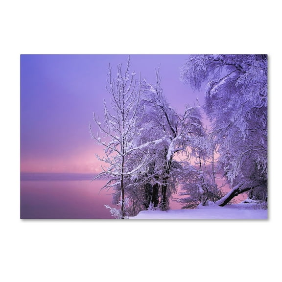 Norbert Maier 'Stillness' Canvas Art