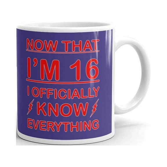 11 oz Unique 16th Birthday Gifts For All Now That I'm 16 I Officially Know Everything Novelty Coffee Mug Tea Cup