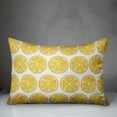thumbnail image 3 of Creative Products Lemon Pattern 14x20 Indoor / Outdoor Pillow, 3 of 3