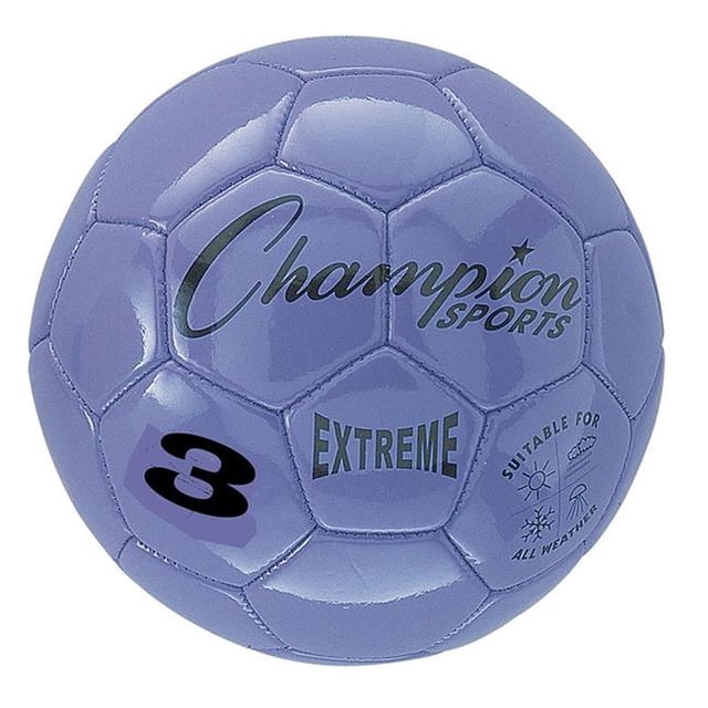 Champion Sports CHSEX3PR-2 Size 3 Soccer Ball Composite, Purple - 2 Each