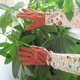 thumbnail image 4 of Guantes de jardín, forro polar de imitación de cuero de poliéster, 20 cm * 12 cm * 3 cm, 4 of 6