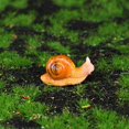 thumbnail image 5 of 50 piezas de serie de plantas suculentas Mini adorno de caracol de paisaje Adorno de artesanía de resina de maceta de animal encantador, 5 of 5