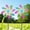 B-colorful-2pcs, variant on Metal Wind Spinner Outdoor, Kinetic Pinwheel Wind Sculpture with Stake, Small Garden Windmill for Patio Yard Lawn Art Decor