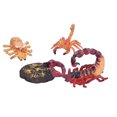 thumbnail image 1 of Figuras de animales, juguetes de ciclo de vida, juguetes de ciclo de vida de escorpión, etapas de estilo de vida, juguete de ciclo de vida de escorpión, conjunto de escorpión, integración perfecta, 1 of 14