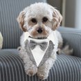 thumbnail image 4 of KAKOWELY Esmoquin formal para perro, cómodo traje de boda para perro, ropa formal decorativa para perro, ropa para mascotas, 4 of 5
