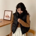 thumbnail image 3 of BAETEUY Women Vest Coat with Stand Collar - Sleeveless Zipper Placket Cotton Waistcoat, 3 of 8