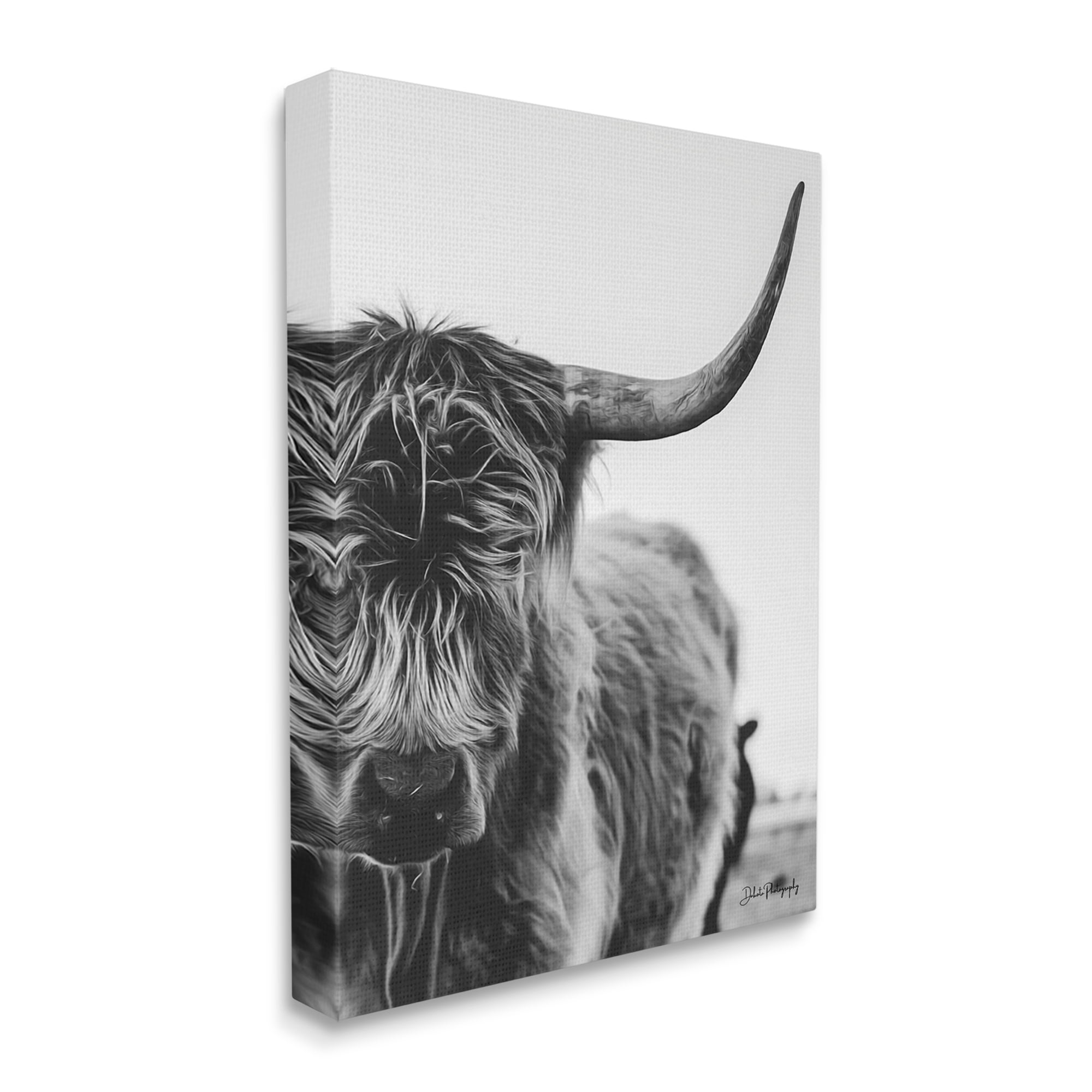 Stupell Industries Highland Cow Cattle Horn Close Up Serene Photography Photograph Gallery Wrapped Canvas Print Wall Art, Design by Dakota Diener