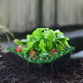 thumbnail image 5 of Strawberry Plant Support,10PCS Hollow Strawberry Holder with 3 Sturdy Legs,Plant Protector 12.2" Diameter Removable Strawberry Planting Rack Keep Berries Clean, 5 of 11