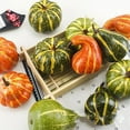 thumbnail image 7 of 8 Pack Small Artificial Lifelike Cucurbit Mini Pumpkins | Fall Harvest Thanksgiving Halloween Decor | Plastic Foam Craft Pumpkins for Home Garden Party Decorations, 7 of 7