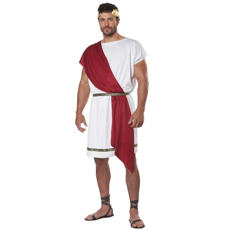 Party Toga Adult Costume